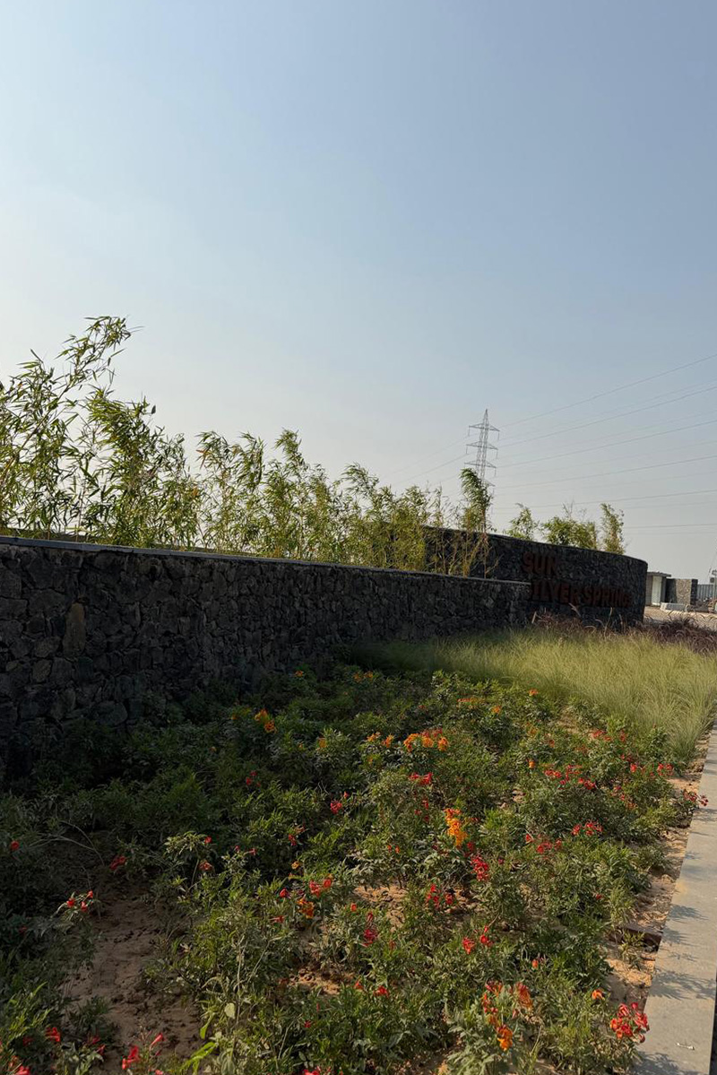 Site Work January 2026