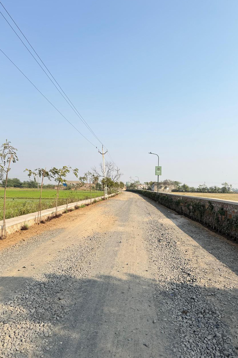 Site Work January 2026